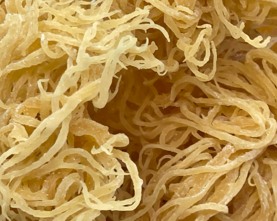 Gold Moss (Sun-Dried)