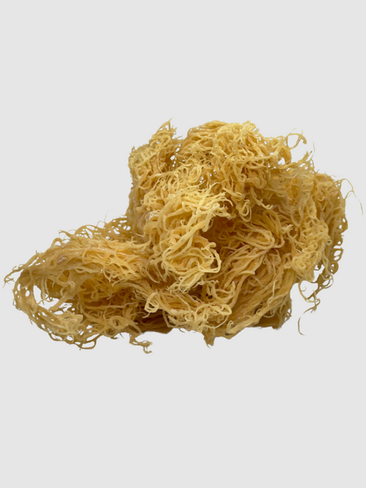 Gold Moss (Sun-Dried)